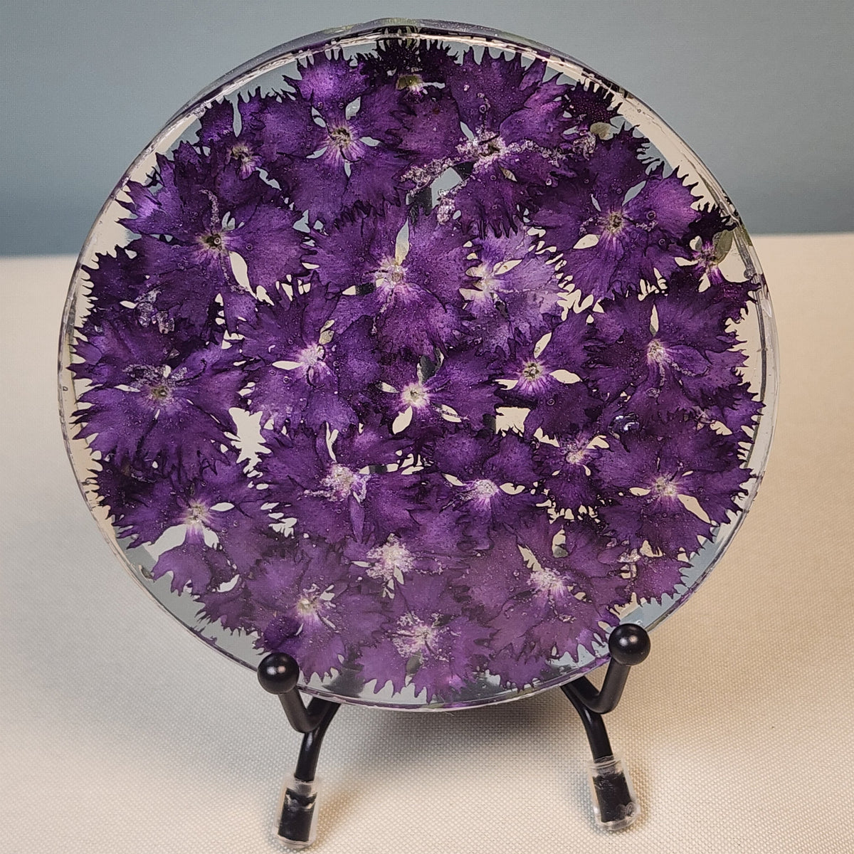Dianthus Cheddar Pink Coaster