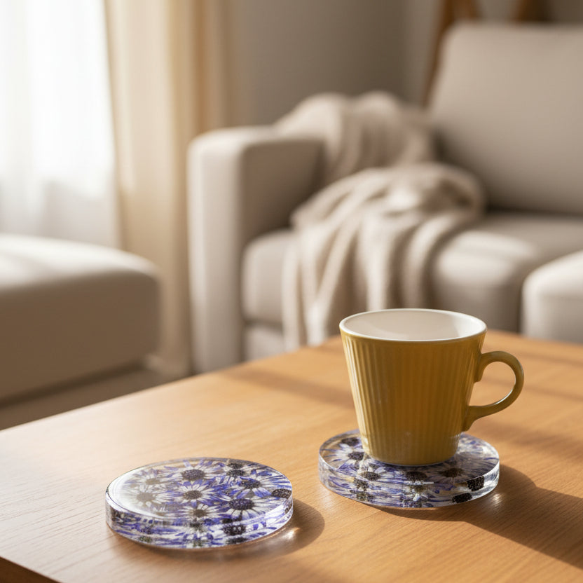 Cineraria Coaster