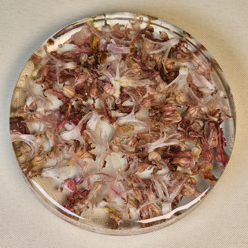 Hyacinth Coaster