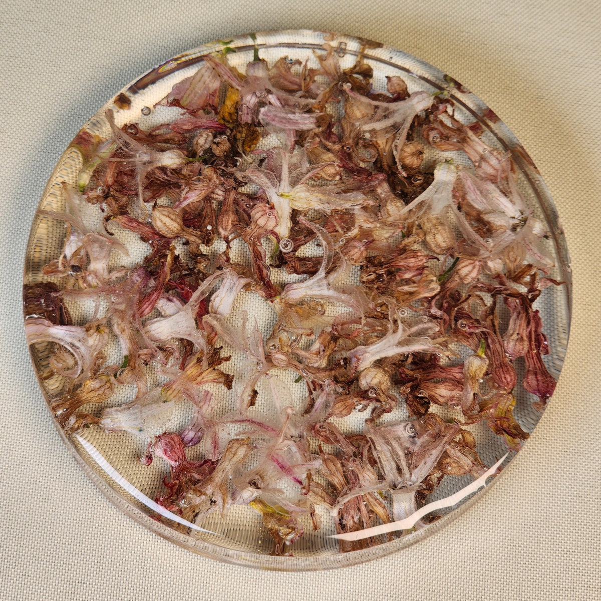 Hyacinth Coaster