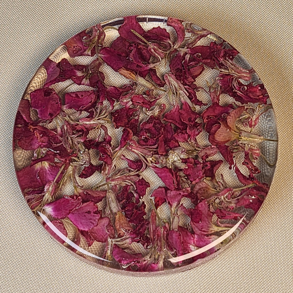 Larkspur Coaster