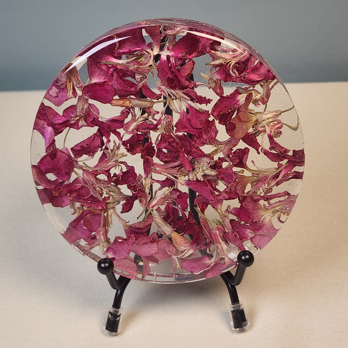 Larkspur Coaster