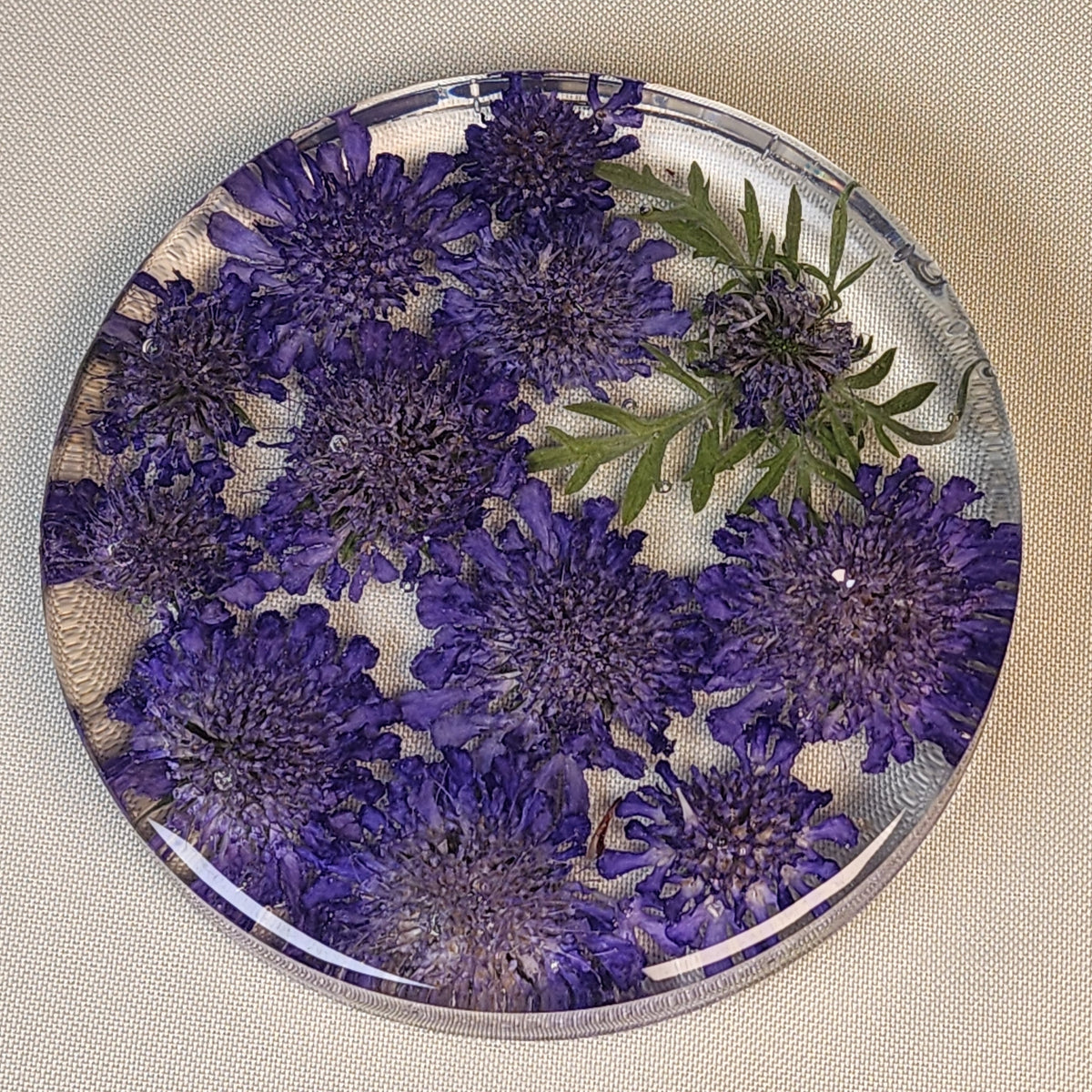 Pincushion Flower Coaster