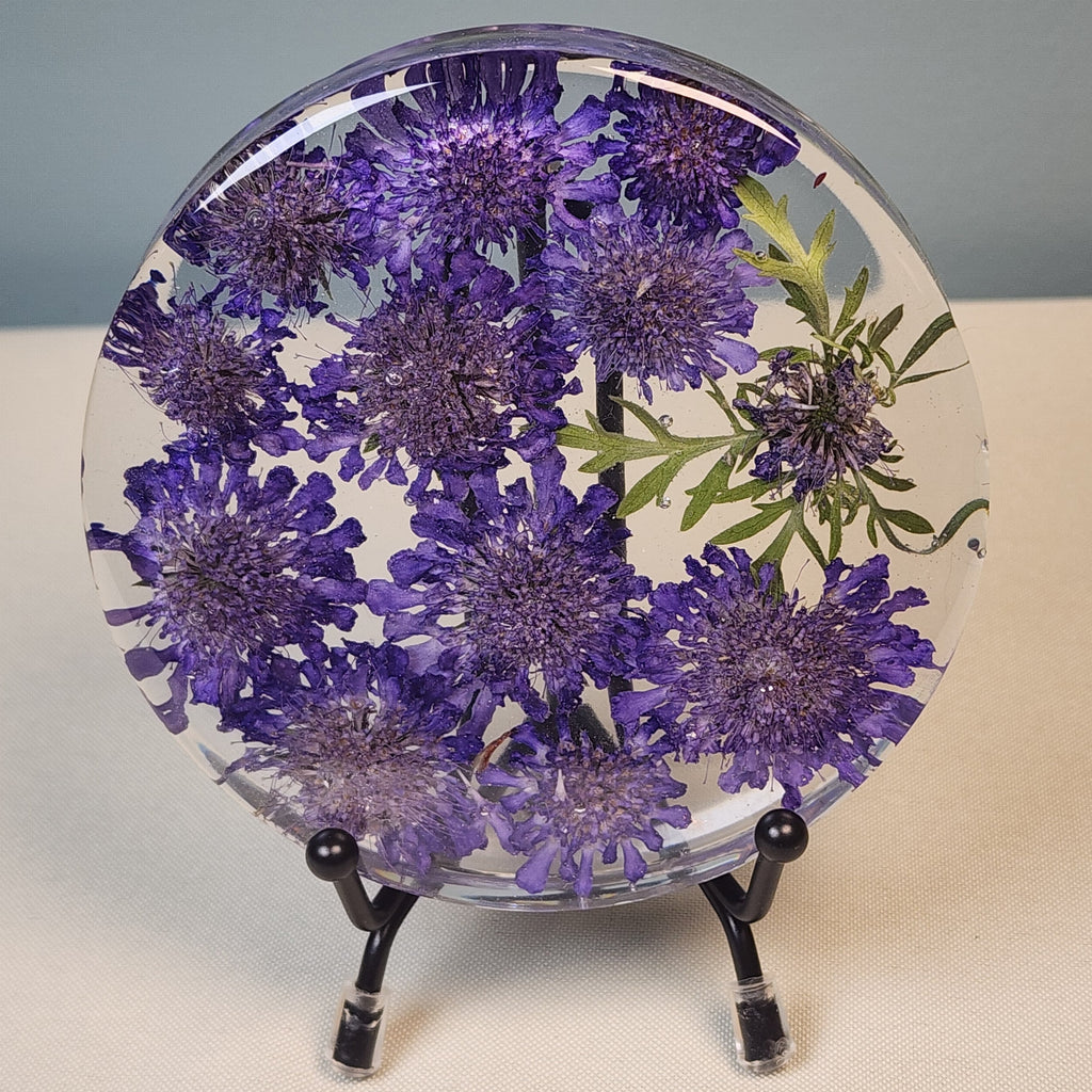 Pincushion Flower Coaster