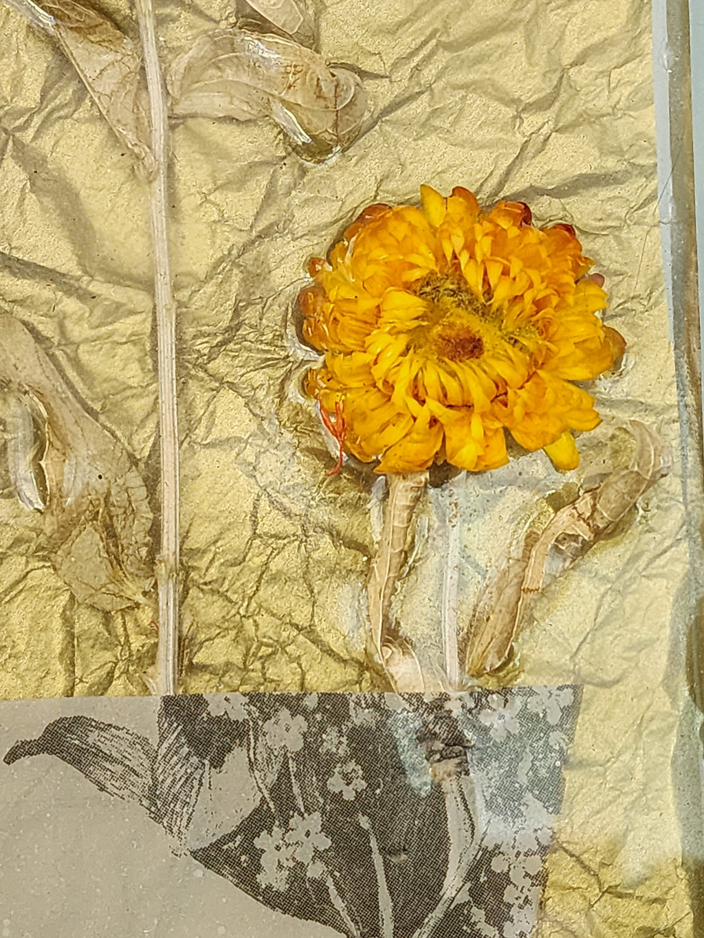 "Remember the Bees" Floral Wall Hanging